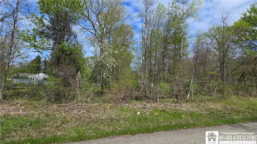 V/L Monroe Avenue, Angola, NY 14006 - #3