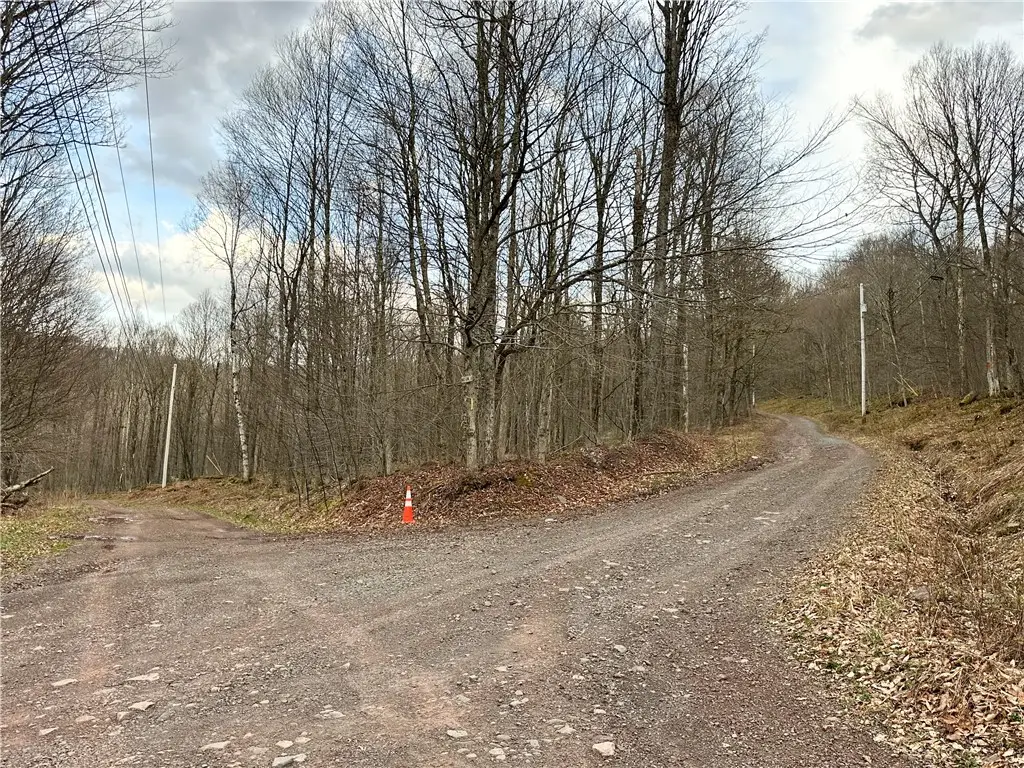 Madigan Lane, Hancock, NY 13783 - #1