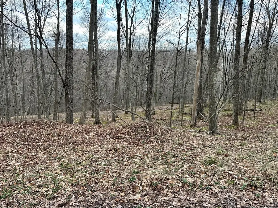 Madigan Lane, Hancock, NY 13783 - #3