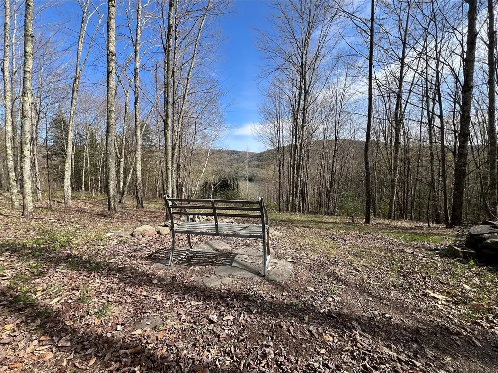 State Highway 30, Andes, NY 13731 - #1