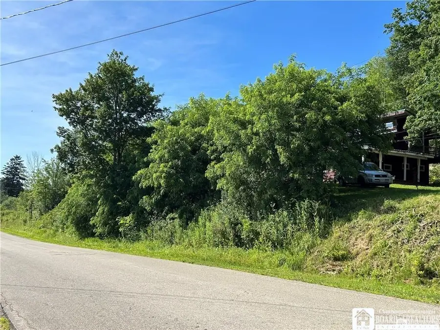 256 Bragg Road, Frewsburg, NY 14738 - #2