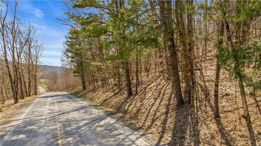 L9.113 Lutheranville Road, East Worcester, NY 12064 - #3