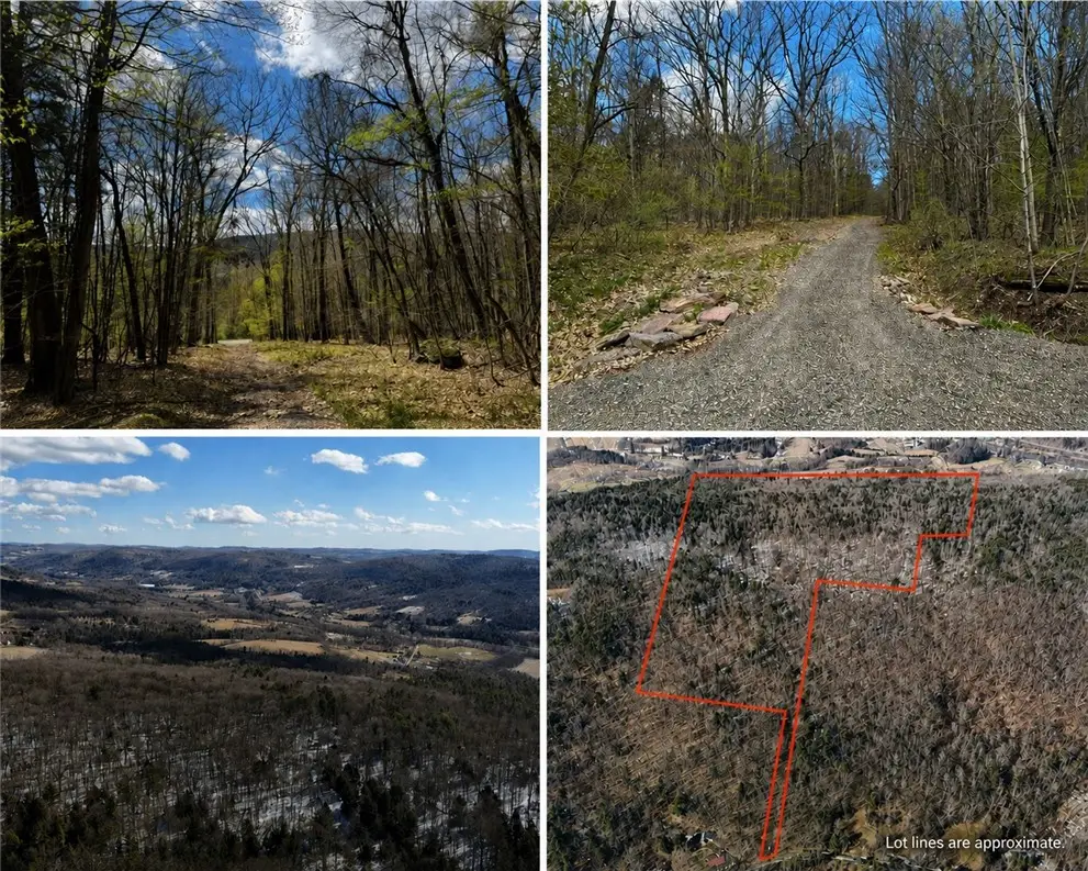 0 Patent Line Road, Sidney, NY 13838 - #1