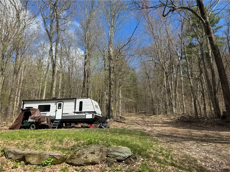 0 Patent Line Road, Sidney, NY 13838 - #3