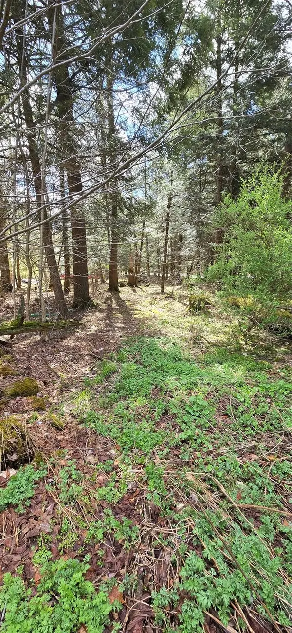 Bliss Gulf Road, Milford, NY 13807