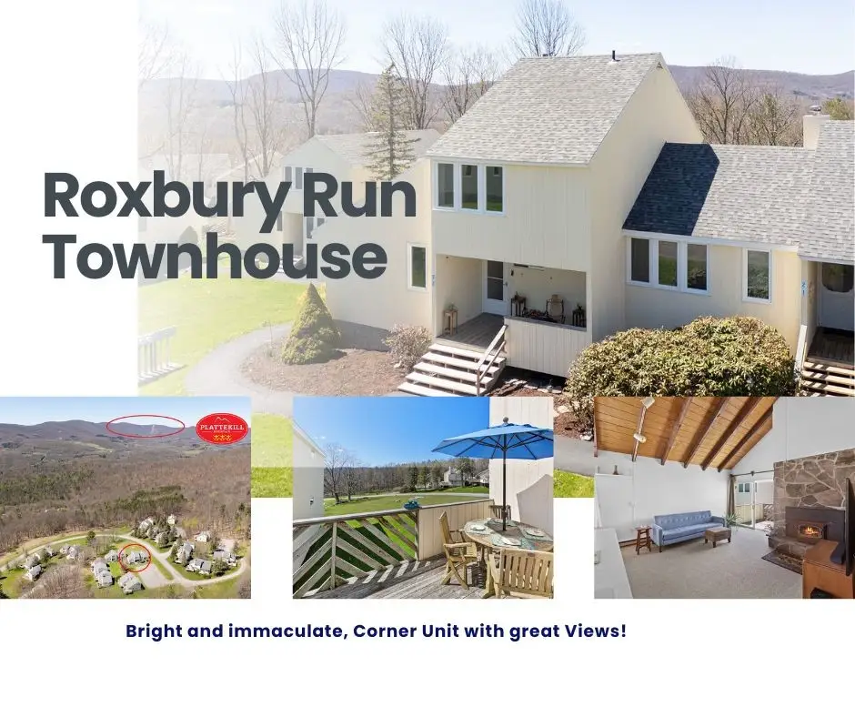 220 Woodland Drive #2-2, Roxbury, NY 12421 - #1