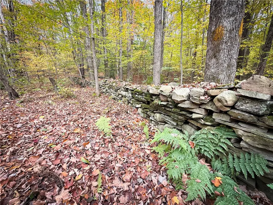 0 Trout Brook Drive, Boylston, NY 13144 - #2