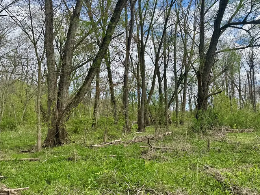 Hydesville Road, Newark, NY 14513 - #3