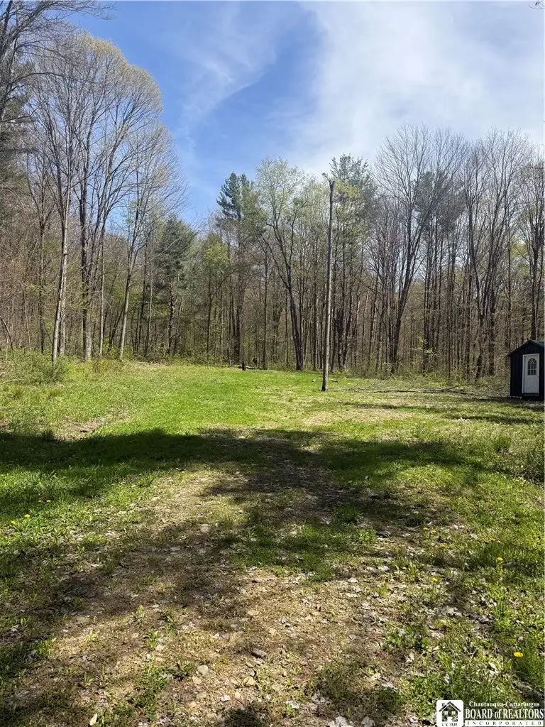 John Darling Road, Randolph, NY 14772 - #1