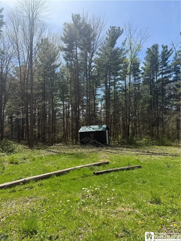 John Darling Road, Randolph, NY 14772 - #2