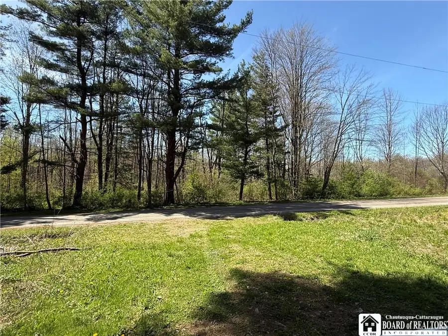 John Darling Road, Randolph, NY 14772 - #3
