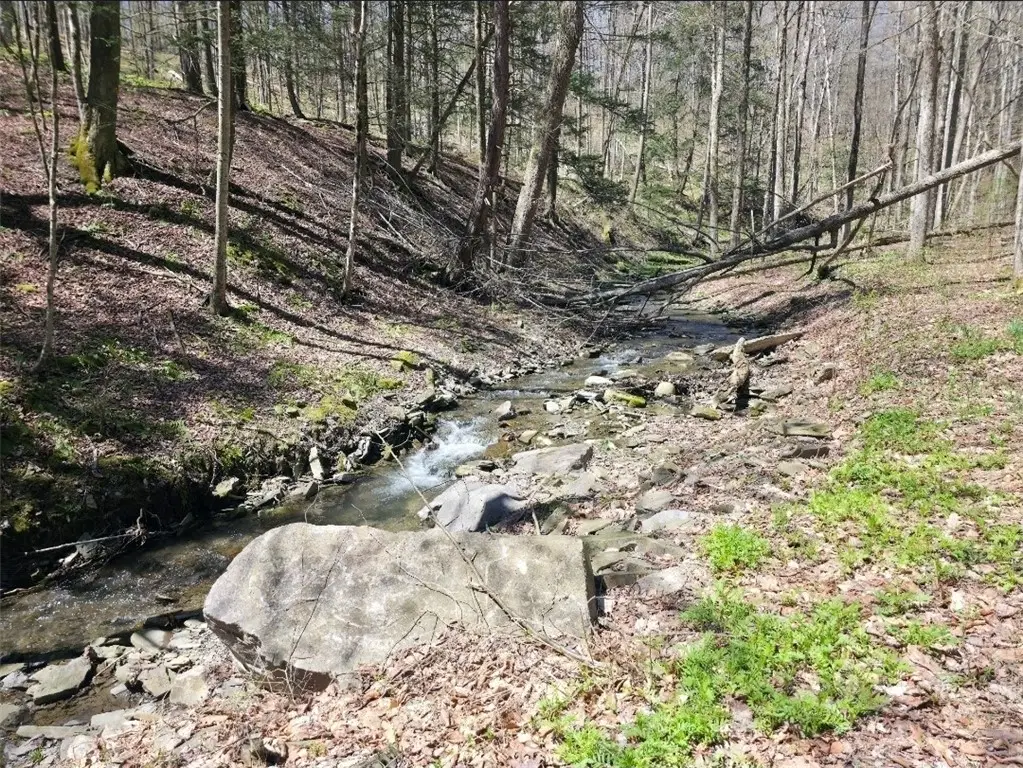 0 Dunn Road, Catlin, NY 14869 - #1