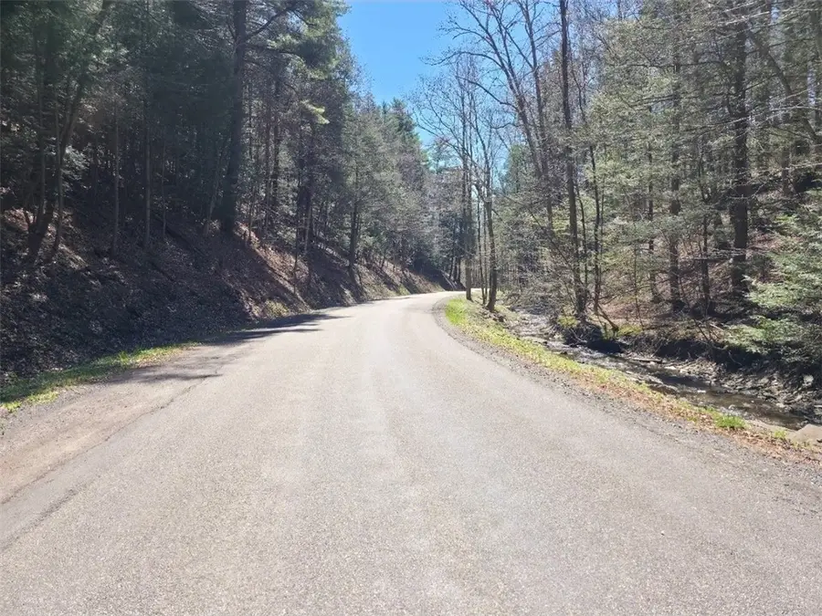 0 Dunn Road, Catlin, NY 14869 - #2