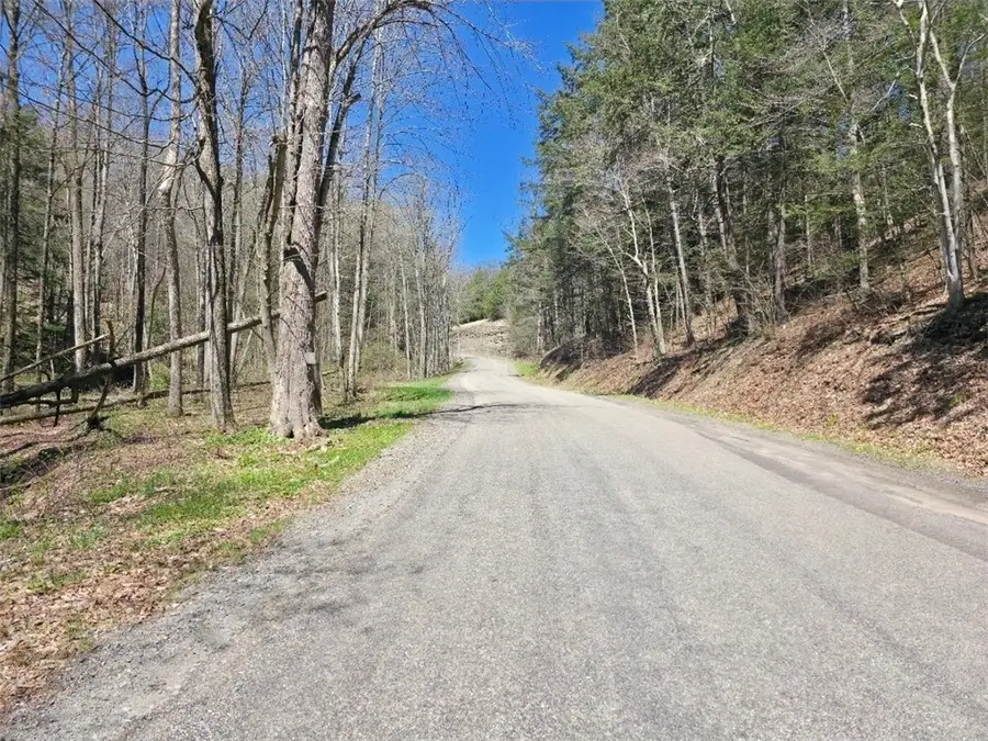 0 Dunn Road, Catlin, NY 14869 - #3
