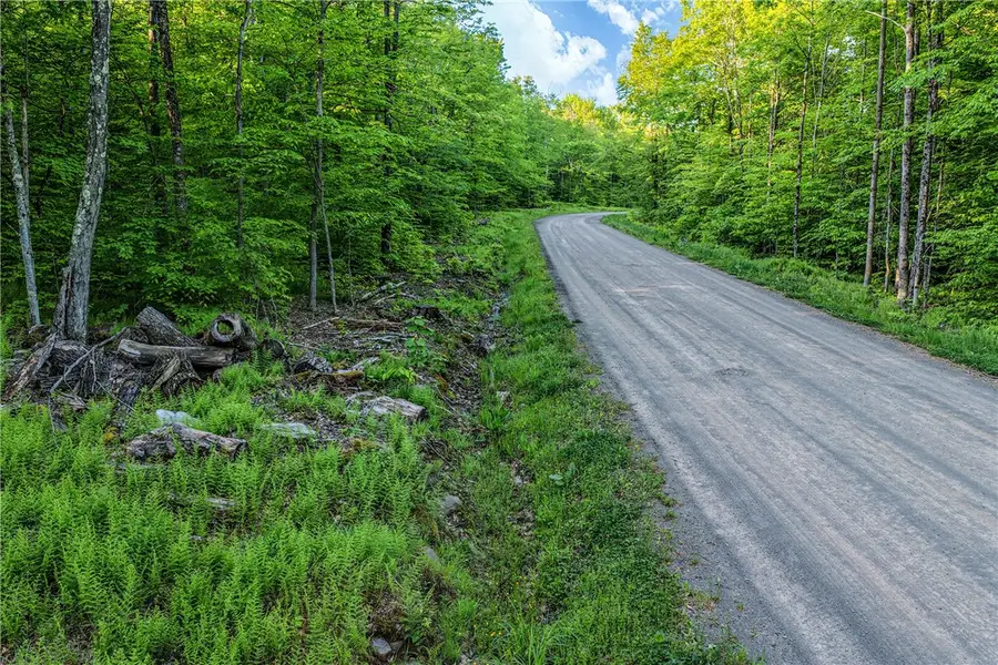 Lots 19, 22, 25 Frank Slawson Road, Oneonta, NY 13820 - #2