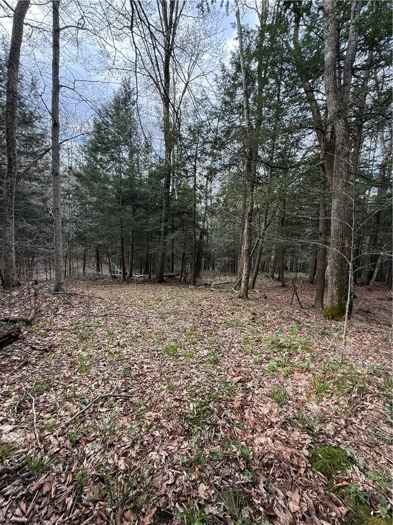Saunders Gulf Road, West Winfield, NY 13491 - #3