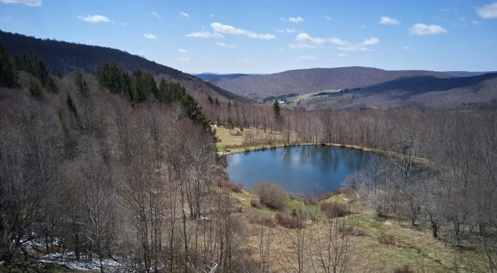 1855 Davis Hollow Road, Andes, NY 13731 - #1
