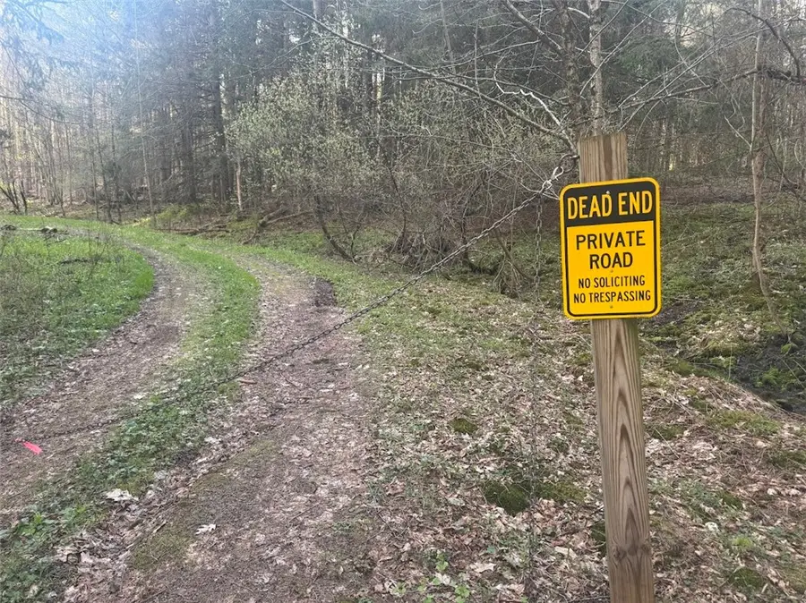 Bramley Mountain Road, Delhi, NY 13753 - #2