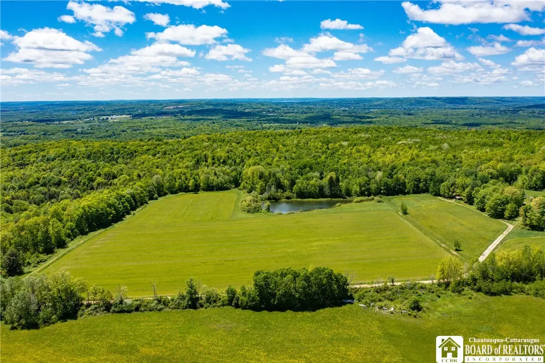 00 Scott Hill - Vl Road, Kennedy, NY 14747 - #1