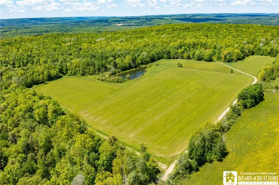00 Scott Hill - Vl Road, Kennedy, NY 14747 - #2