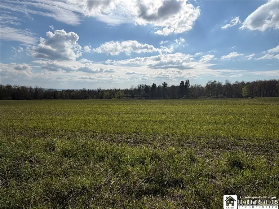 00 Scott Hill - Vl Road, Kennedy, NY 14747 - #3