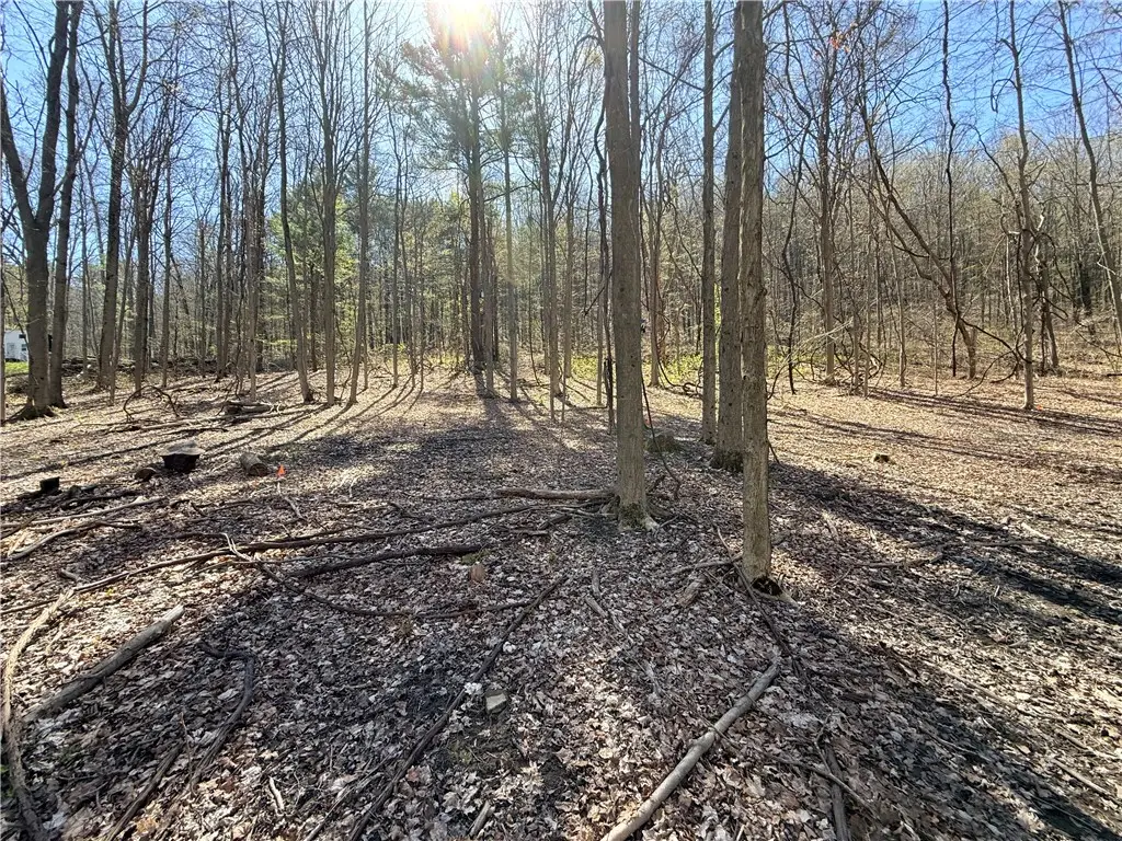 Fitzgerald Road, Burdett, NY 14818 - #1