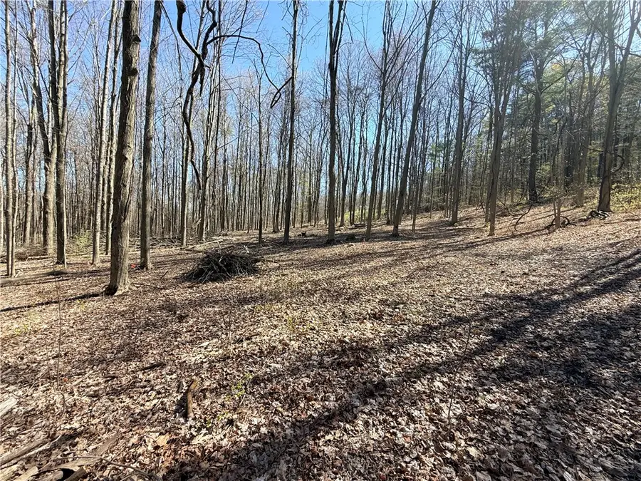 Fitzgerald Road, Burdett, NY 14818 - #2