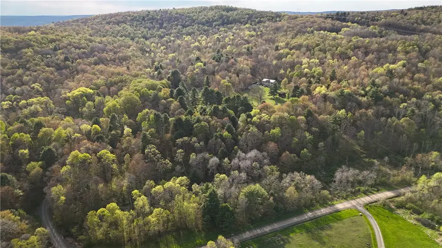 2615 Lockwood Run Road, Lockwood, NY 14859 - #3