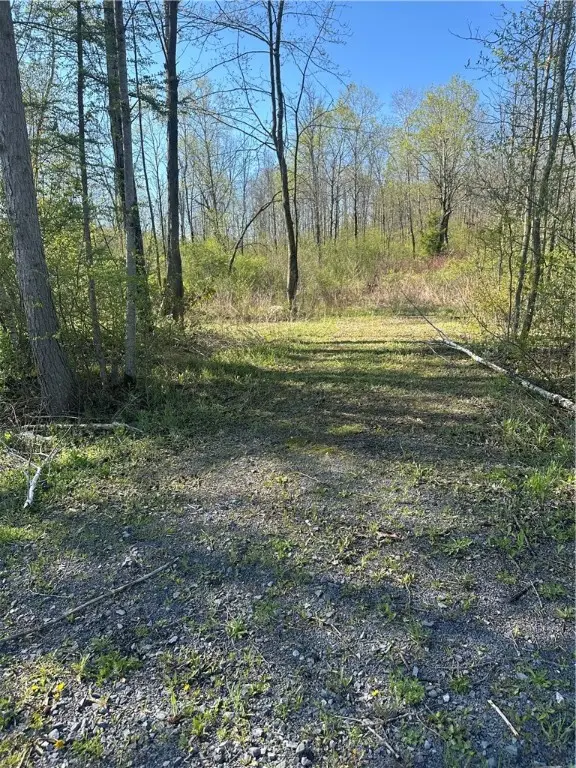 Pleasant Valley Rd, Groton, NY 13073 - #1