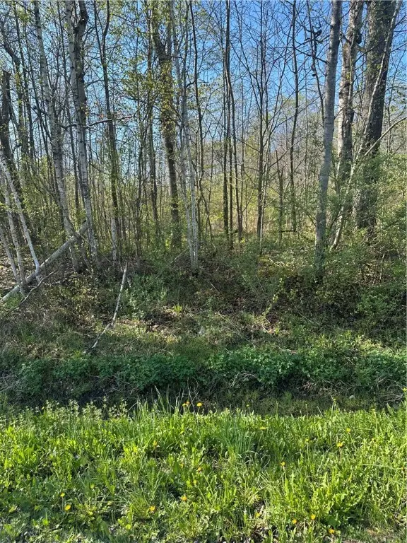 Pleasant Valley Rd, Groton, NY 13073 - #2