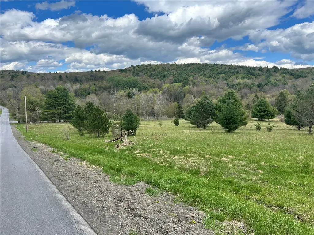 Mary Brown Hill Road, Laurens, NY 13796 - #1