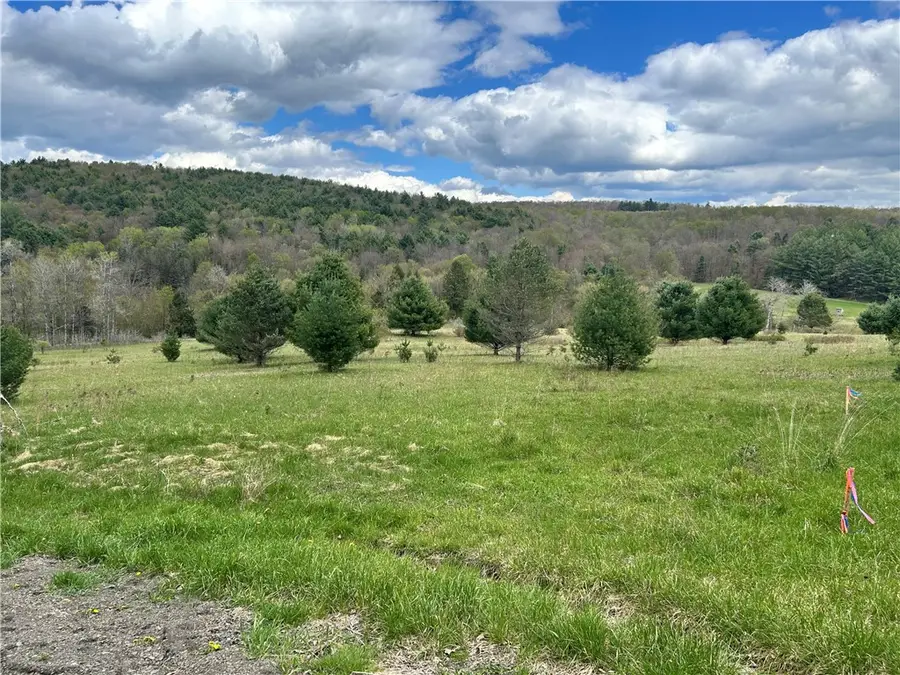 Mary Brown Hill Road, Laurens, NY 13796 - #2