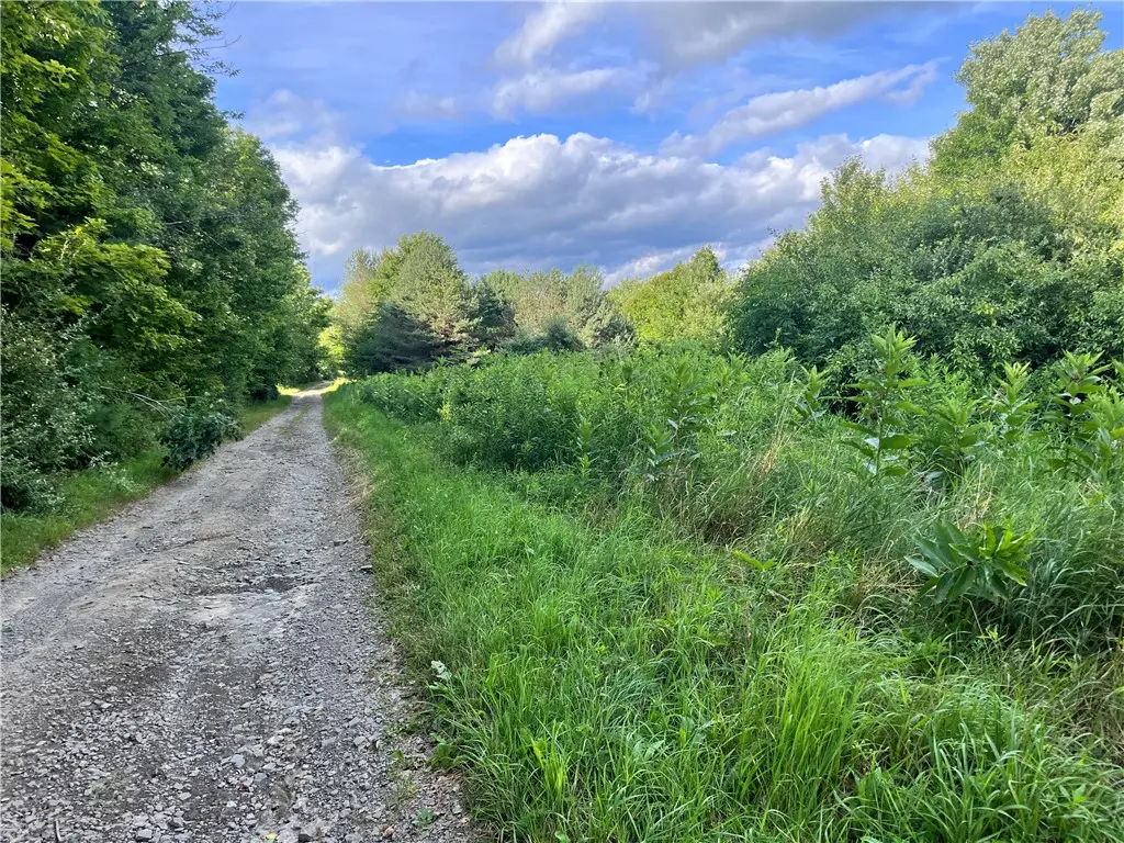 Greenbush Road, Erin, NY 14838 - #1