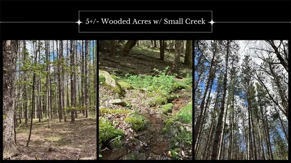 Lot 16 Putnam Road, Davenport, NY 13750