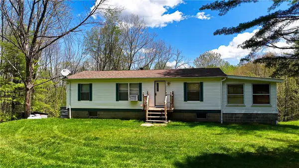 480 Buckley Hill Road, Afton, NY 13730