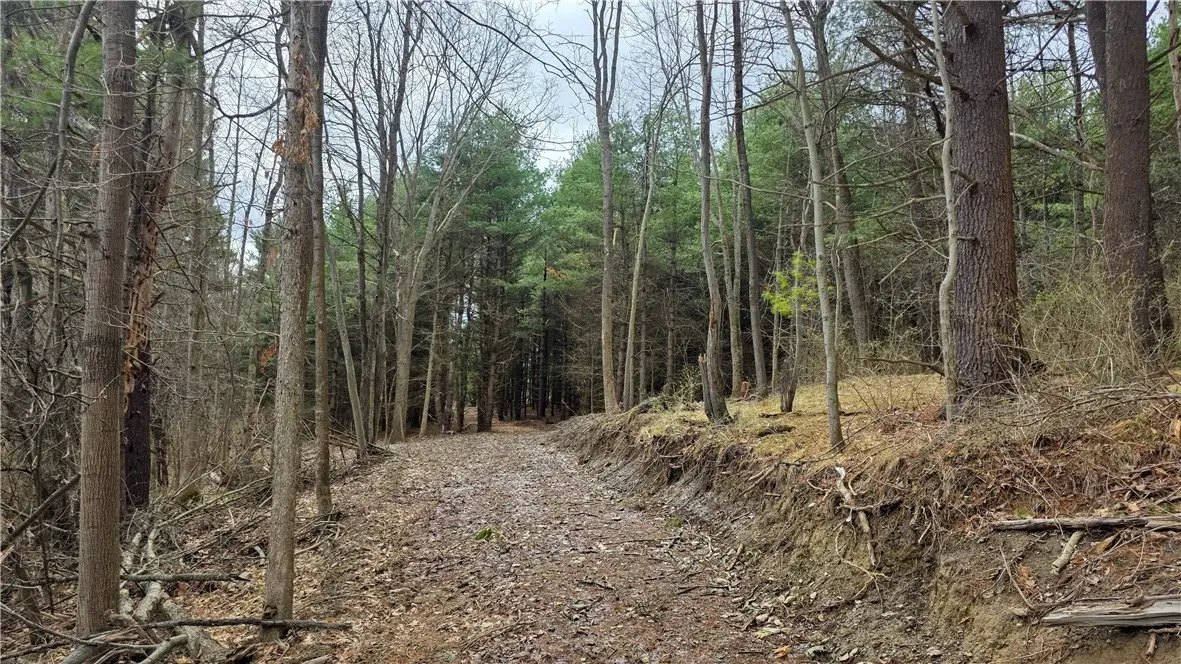 001 Bannister Road, Horseheads, NY 14845 - #1
