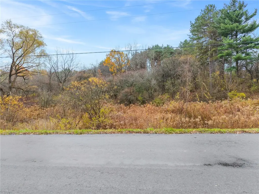 0 Seneca Road, Trumansburg, NY 14886 - #1