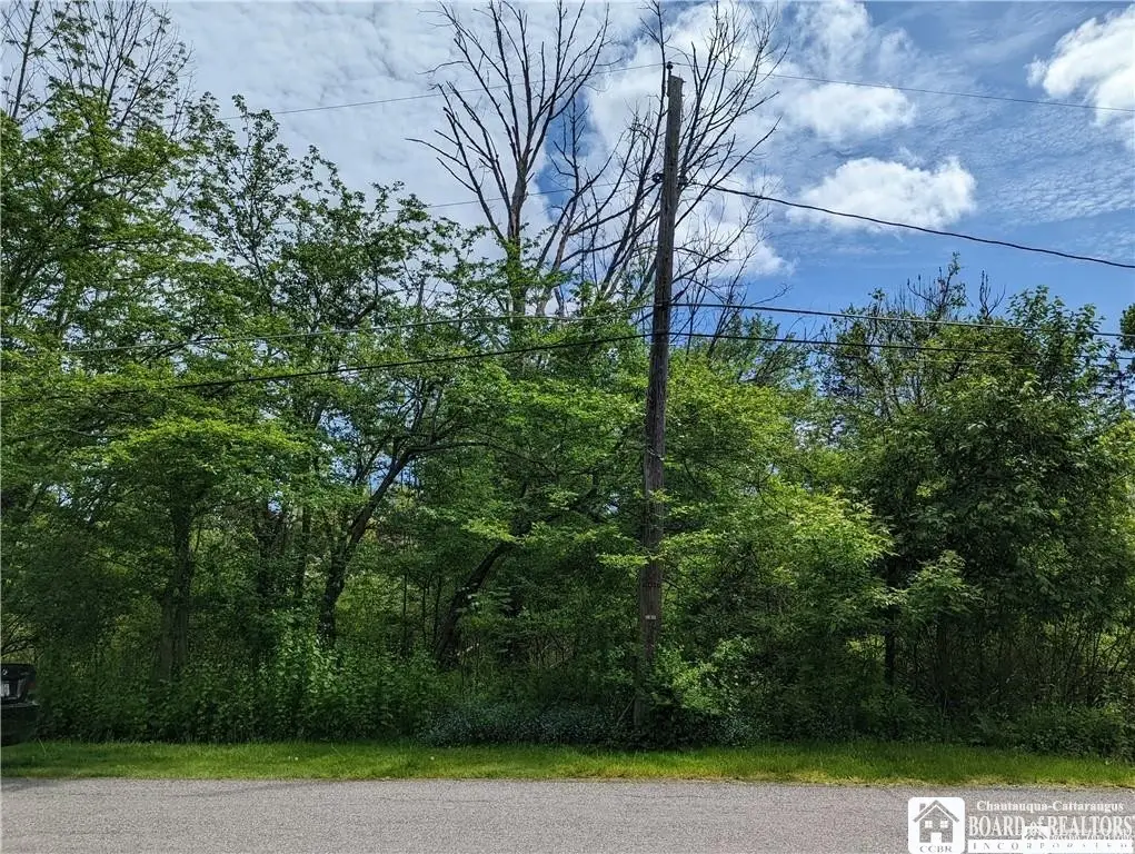 45 Magnolia Avenue, Jamestown, NY 14701 - #1