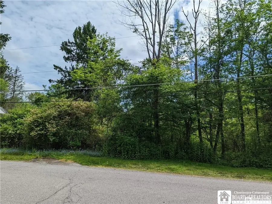 45 Magnolia Avenue, Jamestown, NY 14701 - #3