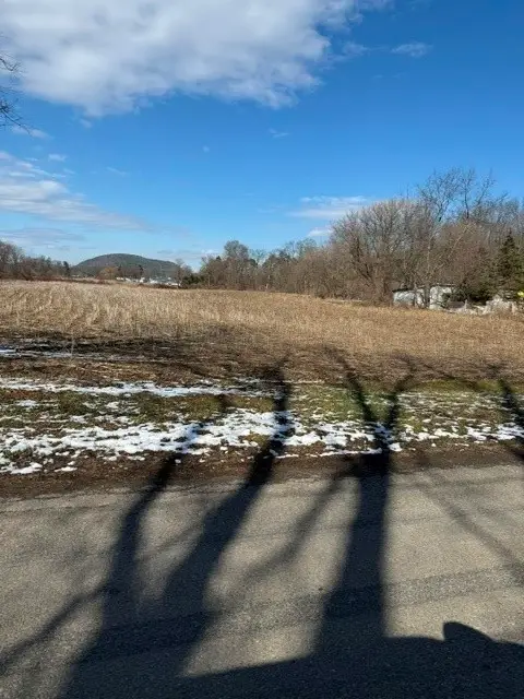 22 Brooks St, Lot C, Spencer, NY 14883 - #2