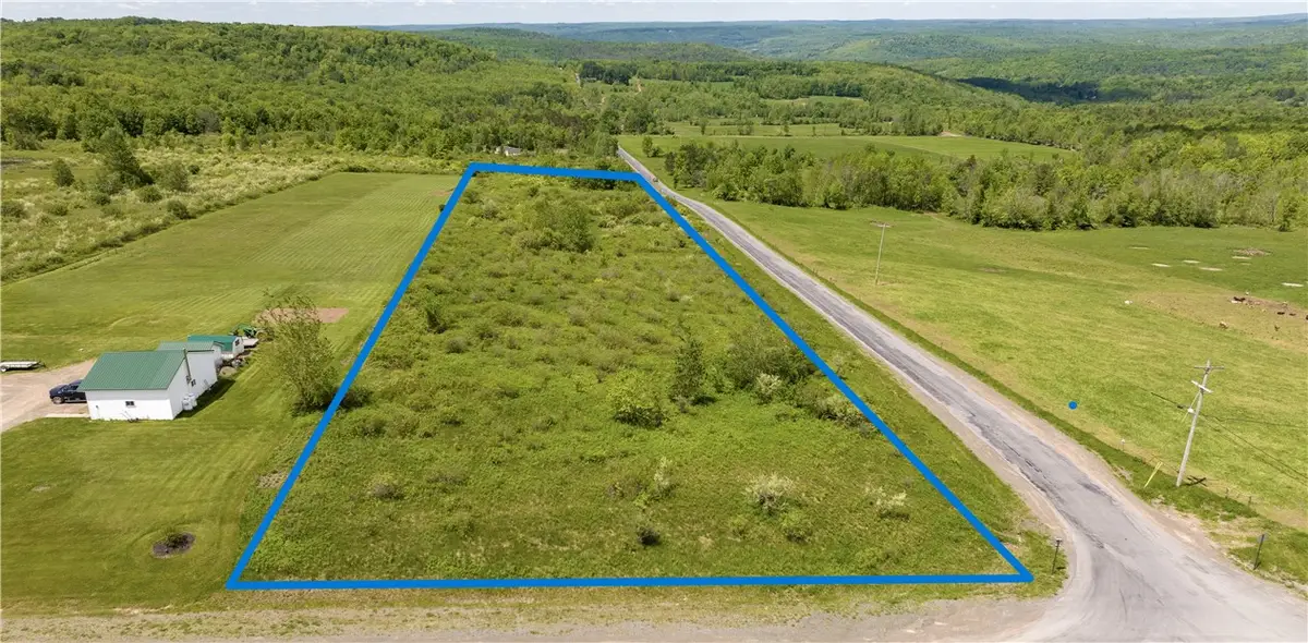 Wahlberg Road, Guilford, NY 13780 - #1