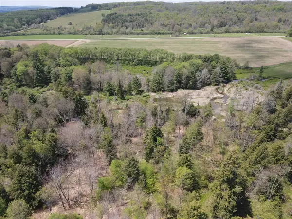 Lot 2 County Road 16, Swain, NY 14884