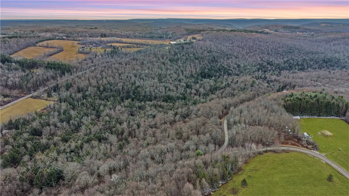 VL Lot 1 Dry Run Road, Beaver Dams, NY 14812 - #1