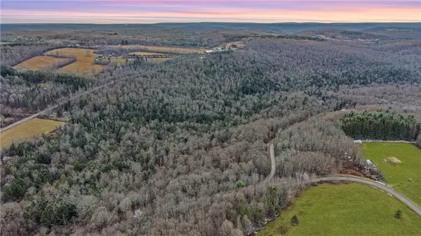 VL Lot 1 Dry Run Road, Beaver Dams, NY 14812