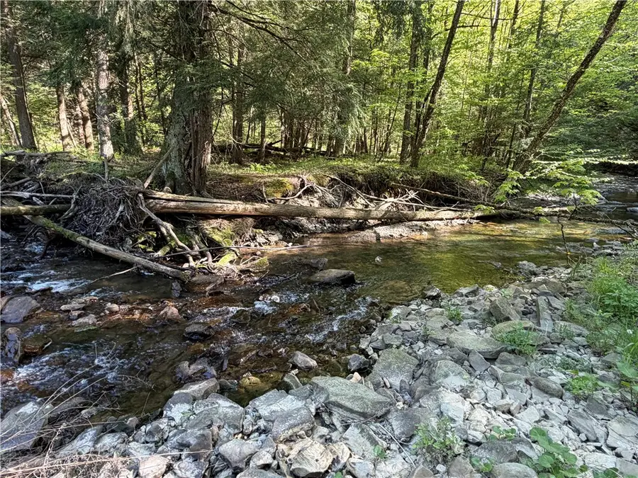 VL Lot 1 Dry Run Road, Beaver Dams, NY 14812 - #2