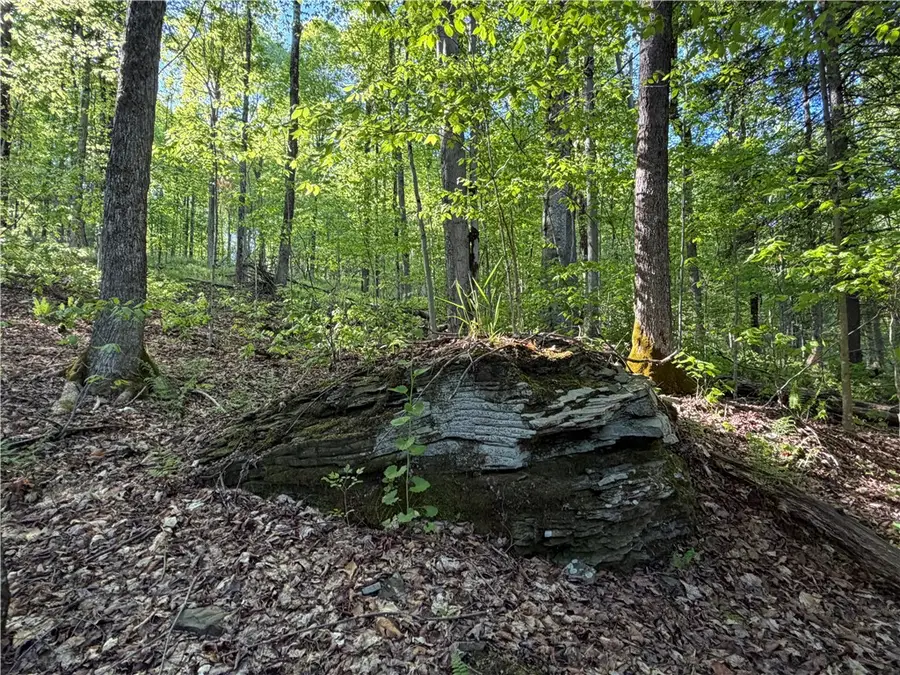 VL Lot 1 Dry Run Road, Beaver Dams, NY 14812 - #3