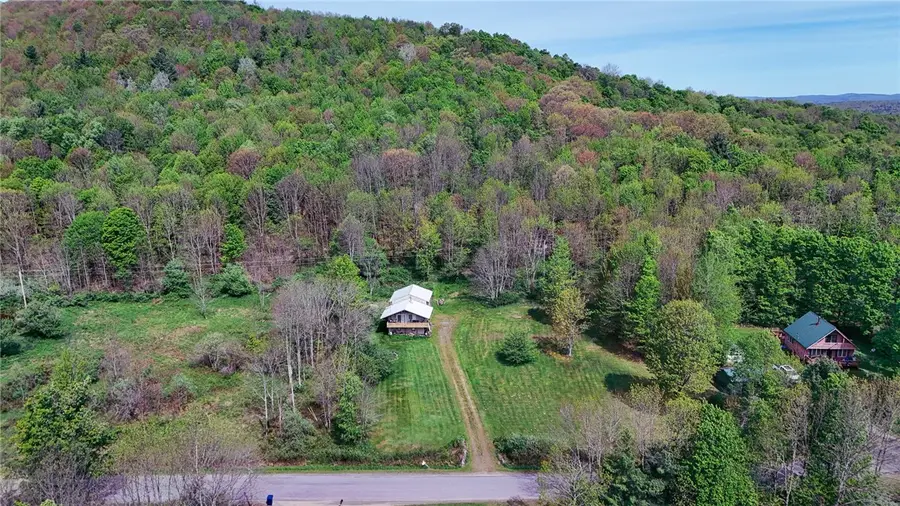 1799 Brownell Road, Bloomville, NY 13739 - #3