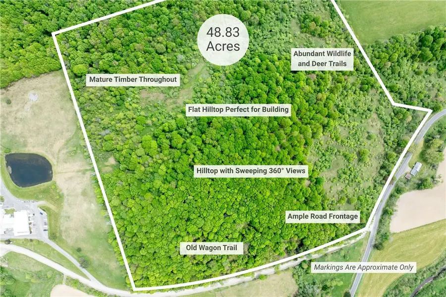 Bell Road, New Berlin, NY 13411 - #2