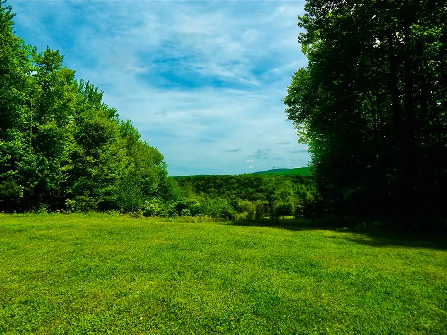 108 Toy Farm Road, Hartwick, NY 13348 - #3