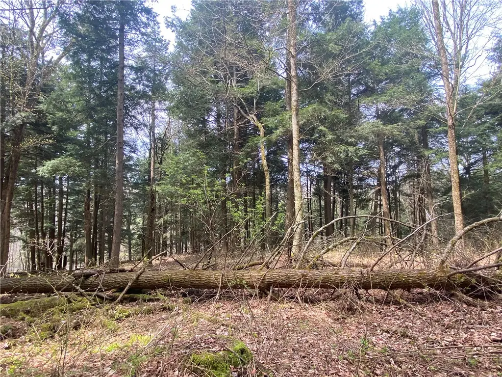 Lot A Piermott Lane, Hartwick, NY 13348 - #1